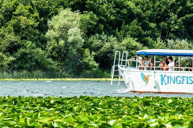 Skadar Lake & Crnojevića River: Swimming, Snacks & Wine - Price and Value: Why $44.52 Works Here