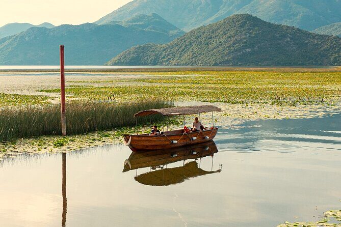 Skadar Lake National Park: Birdwatching & Photography Tour - Price and value: $44.26 for an organized lake morning