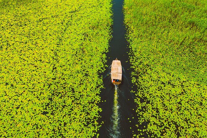 Skadar Lake National Park: Guided Boat Tour to Kom Monastery - The route’s nature stops: reeds, chestnuts, birds, and lilies