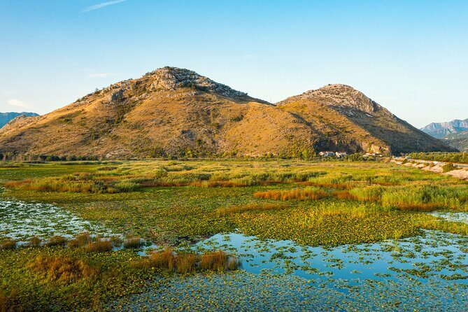 Skadar Lake National Park Guided Boat Tour with Wooden Boat - Guides and the on-board “how much do I learn?” question