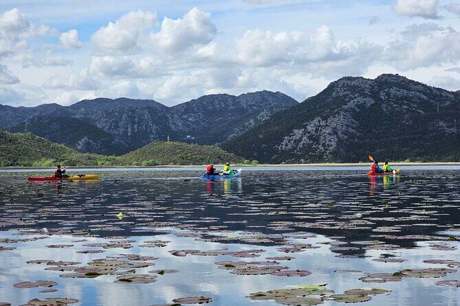 Skadar Lake on kayaks Experience with Spectacular Views - Quick highlights before you commit
