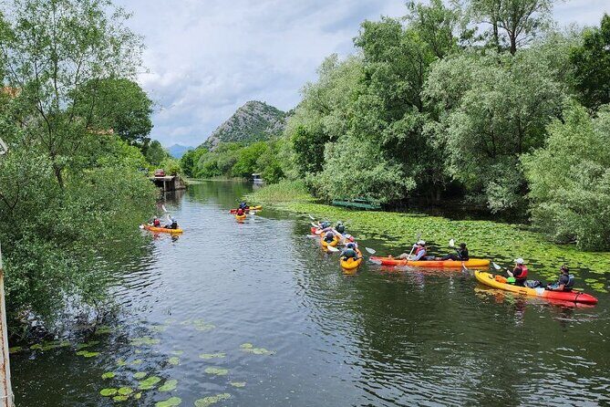 Skadar Lake on kayaks Experience with Spectacular Views - Birdwatching, Water Clarity, and What Changes by Season