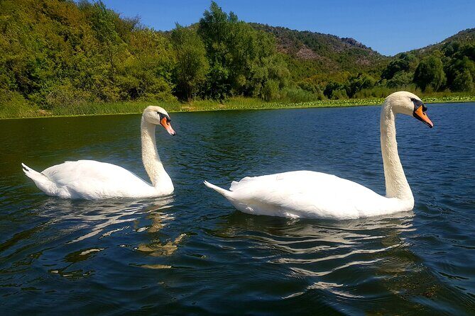 Skadar Lake & Virpazar return trip from Podgorica city - Skadar Lake National Park: Wildlife, Water, and Big Views in a Few Hours