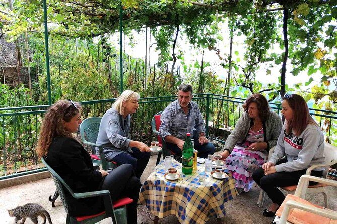 Unique gastro experience with locals in high hills above Budva! - Key points before you go