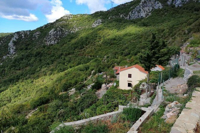 Unique gastro experience with locals in high hills above Budva! - Stanjevici Monastery on Lovćen: XIV-century meaning at 600 meters