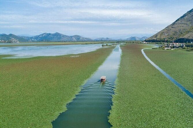Virpazar Skadar Lake National Park Guided Boat Tour - The quick setup: where you meet and what to expect