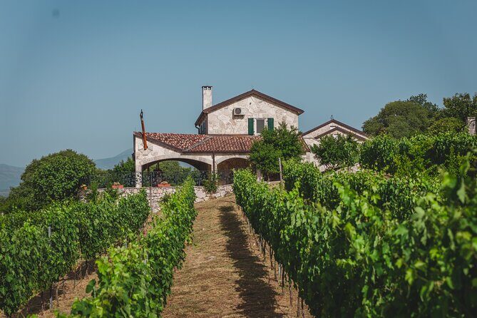 Wine tour- Family winery visit, food tasting & Skadar Lake boat cruise - Key highlights you’ll feel on this tour